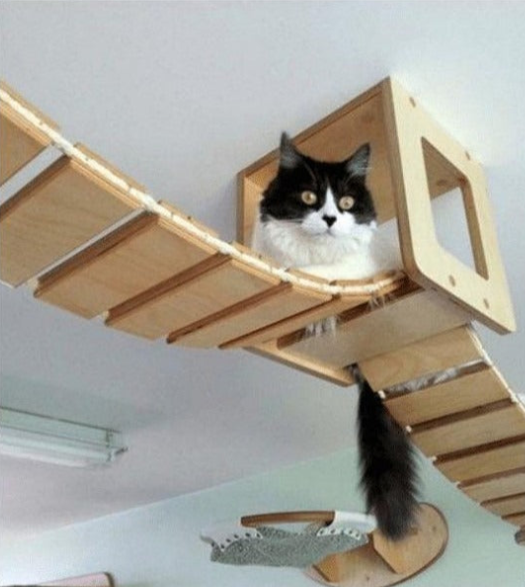 WhiskerWay Modular Cat Ladder