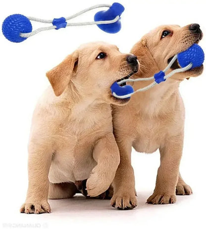 SuckerBounce Dental Chew Toy