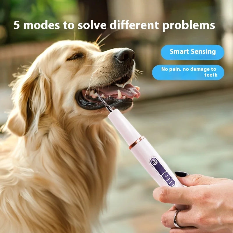 SonicSmile Pro Pet Dental Kit