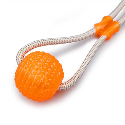 SuckerBounce Dental Chew Toy