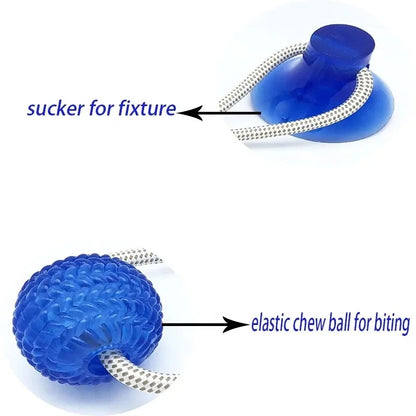 SuckerBounce Dental Chew Toy