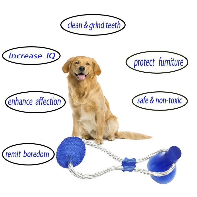 SuckerBounce Dental Chew Toy