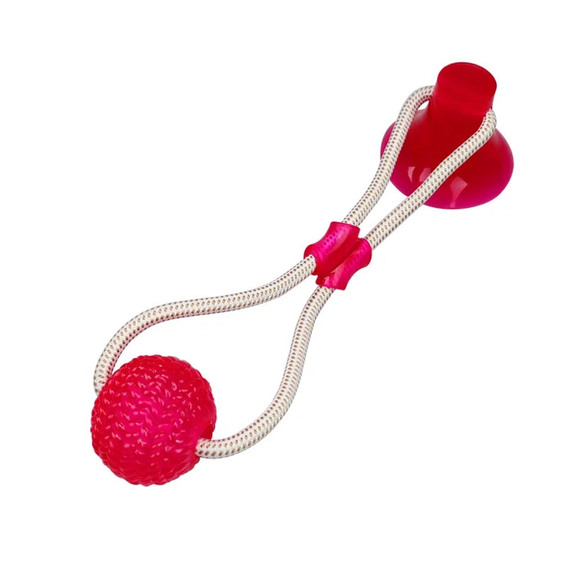 SuckerBounce Dental Chew Toy