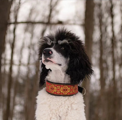 Greyhound Glamour Martingale Collar