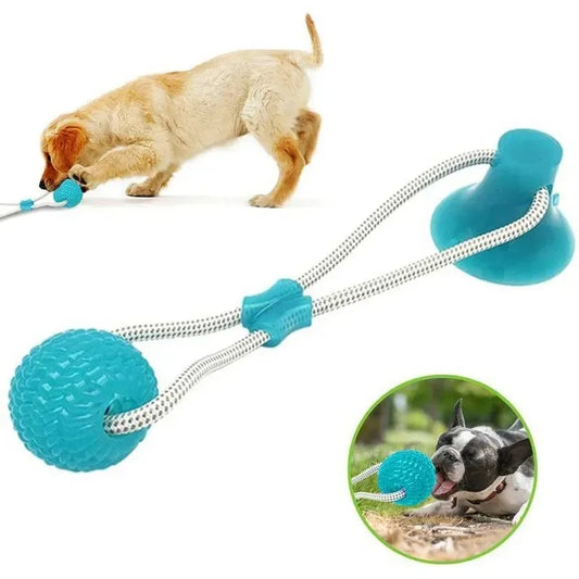 SuckerBounce Dental Chew Toy