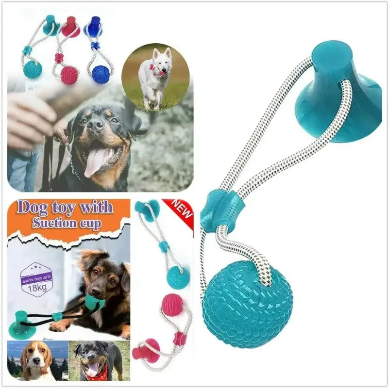 SuckerBounce Dental Chew Toy