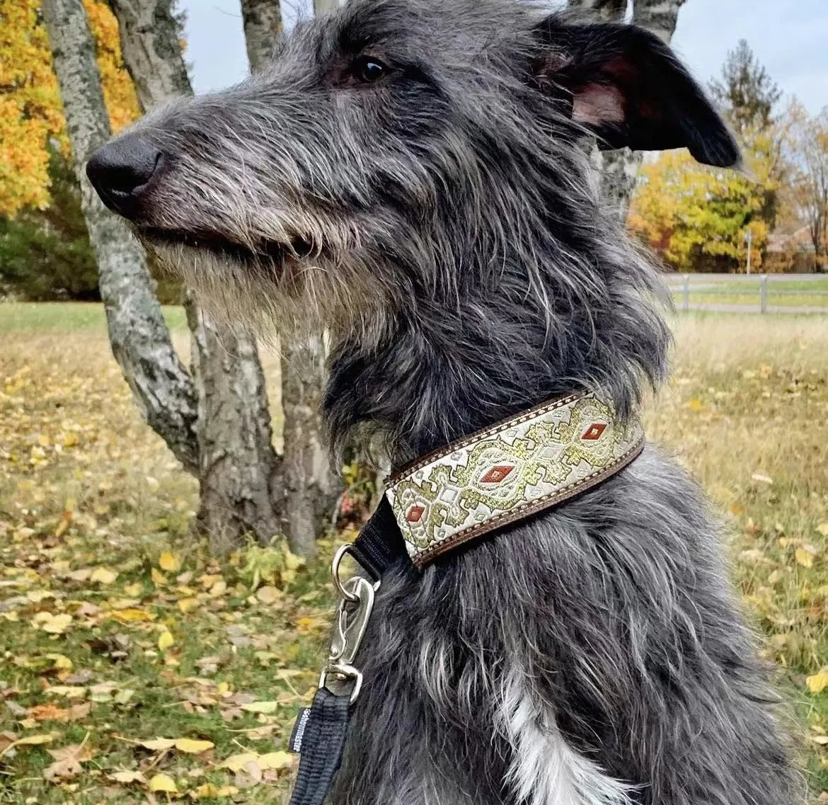 Greyhound Glamour Martingale Collar