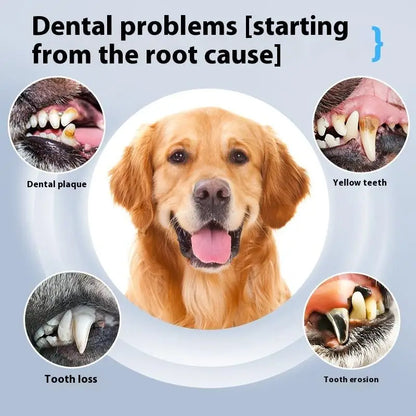 SonicSmile Pro Pet Dental Kit