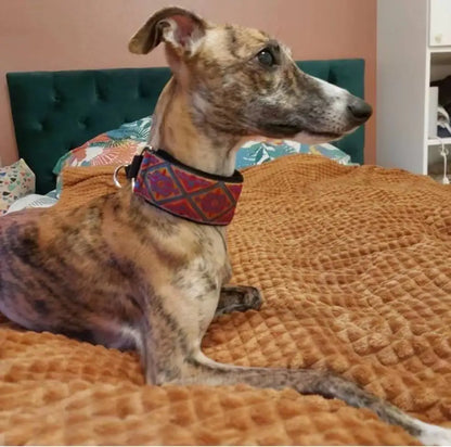 Greyhound Glamour Martingale Collar