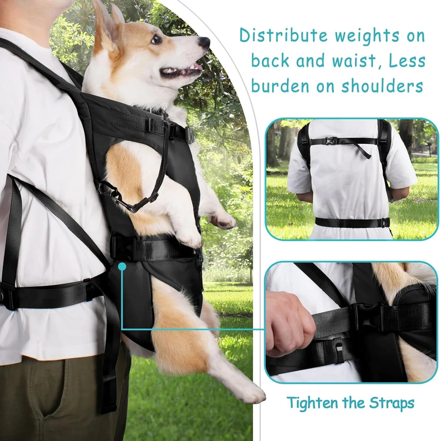 TrailPup Pro Adventure Pack